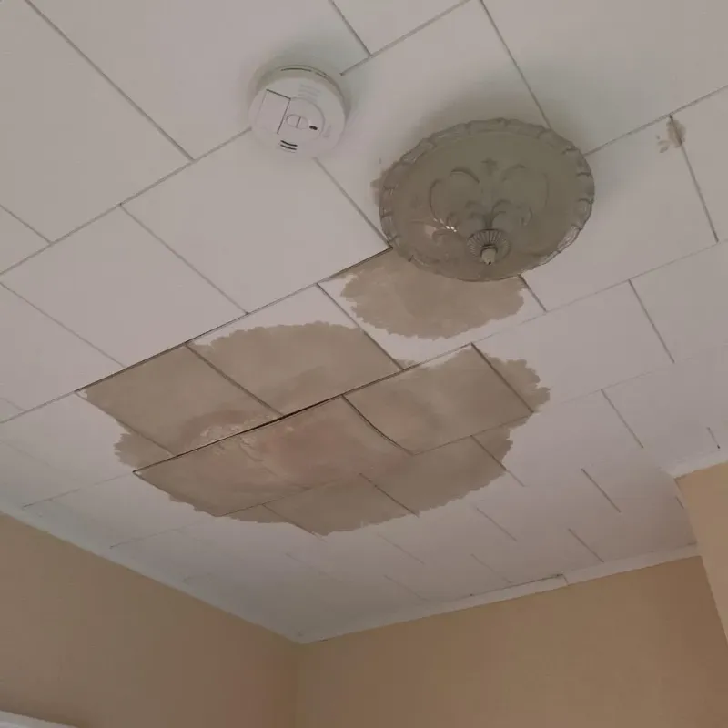 Ceiling Water Damage Repair in Liberty County, TX