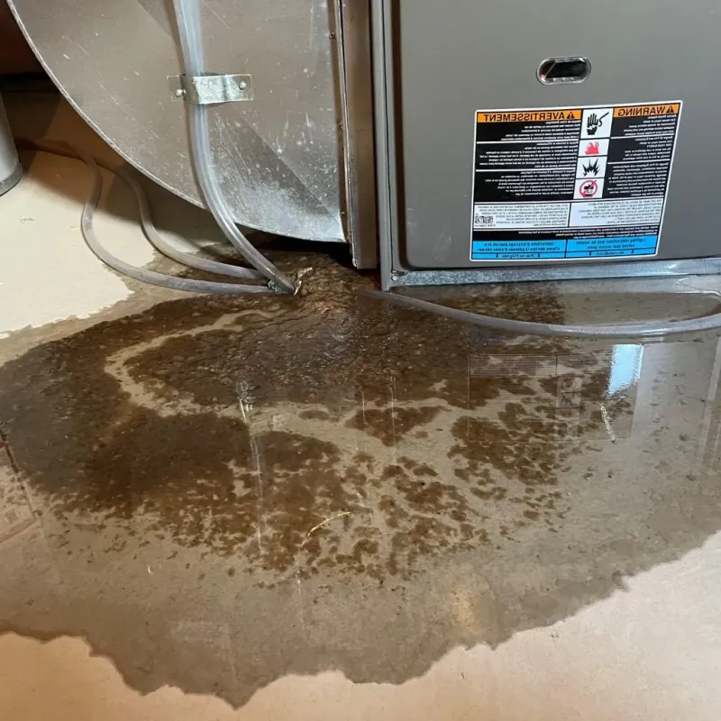Pipe Burst and Leak Restoration in Liberty County, TX