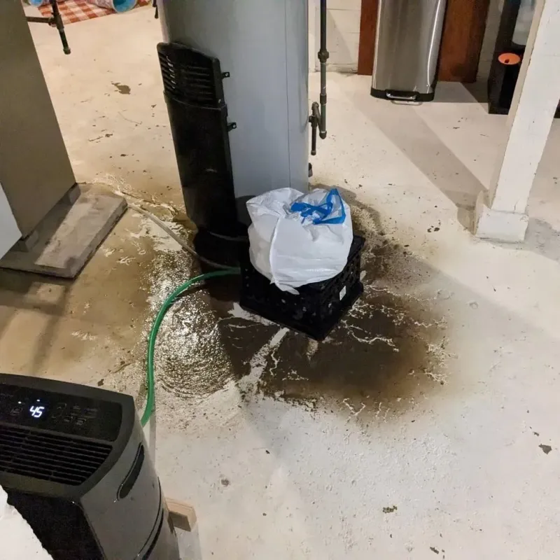 Sewage Backup Cleanup Service in Liberty County, TX